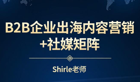 shirle老师·B2B企业出海内容营销+社媒矩阵-云推网创项目库