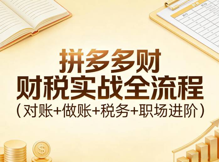 拼多多财税实战全流程(对账+做账+税务+职场进阶)-云推网创项目库