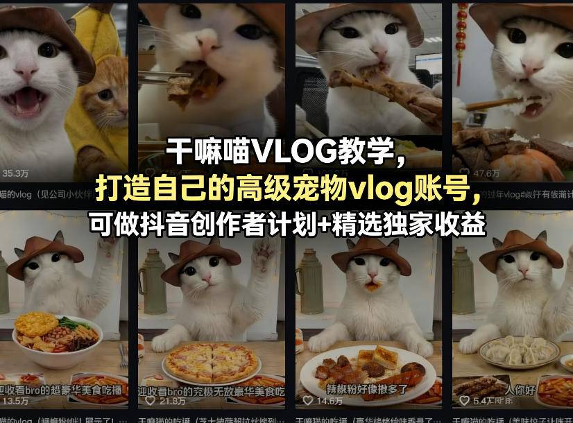 干嘛喵VLOG教学，打造自己的高级宠物vlog账号，可做抖音创作者计划+精选独家收益-云推网创项目库