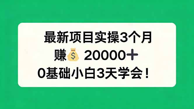 最新项目实操3个月，赚钱20000+，0基础小白3天学会！-云推网创项目库
