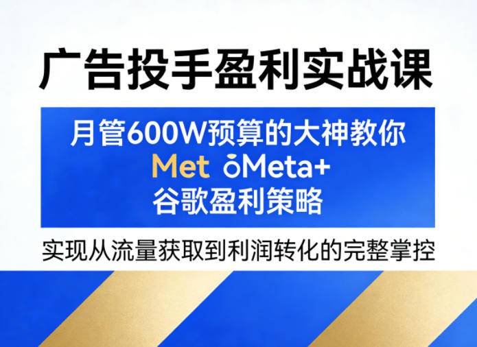 广告投手盈利实战课，月管600W预算的大神教你Meta+谷歌盈利策略，实现从流量获取到利润转化的完整掌控-云推网创项目库