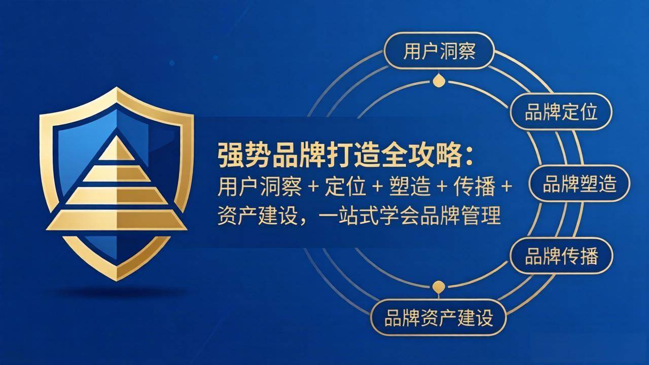 强势品牌打造全攻略:用户洞察 + 定位 + 塑造 + 传播 + 资产建设,一站式学会品牌管理-云推网创项目库