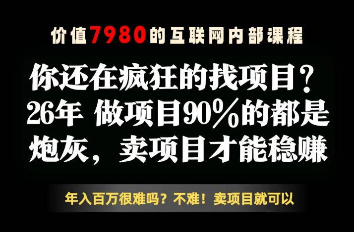 26年请不要疯狂的找项目了，卖项目远比你想象的暴利，你也可以月入10W+【揭秘】-云推网创项目库