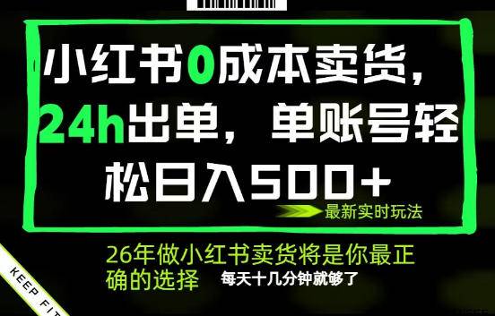 小红书0成本AI卖货，24小时出单，全流程托管，保底日入500+，每天十几分钟就够了【揭秘】-云推网创项目库