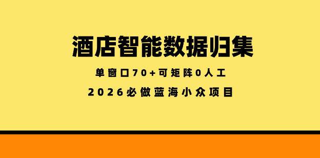 酒店智能数据归集，小众蓝海已经稳定半年之久，单窗口70+零成本矩阵开干【揭秘】-云推网创项目库