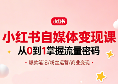大漂亮·小红书自媒体变现课-云推网创项目库