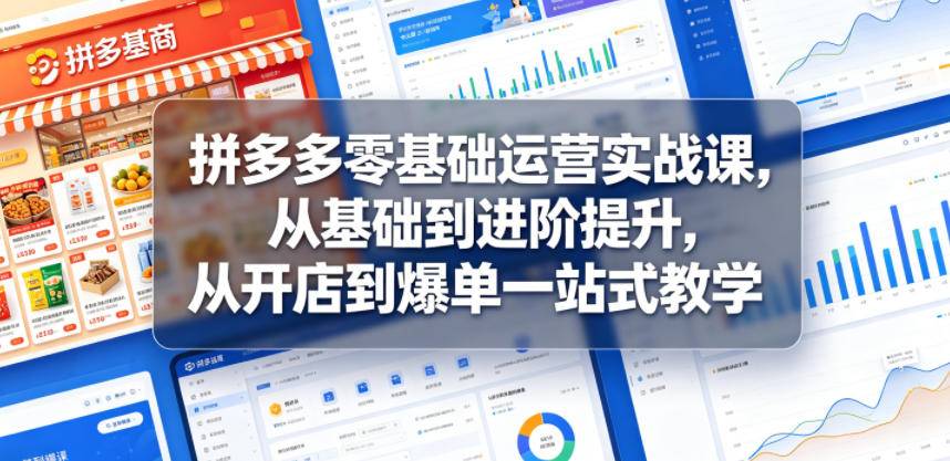 拼多多零基础运营实战课，从基础到进阶提升，从开店到爆单一站式教学-云推网创项目库