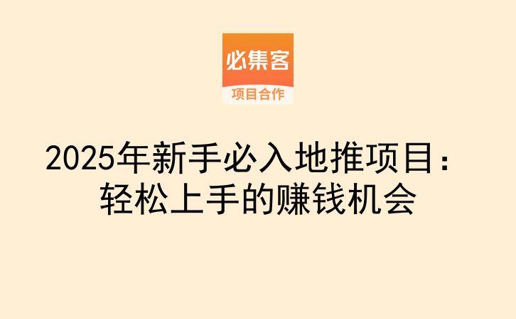 2025年新手必入地推项目：轻松上手的赚钱机会-云推网创项目库