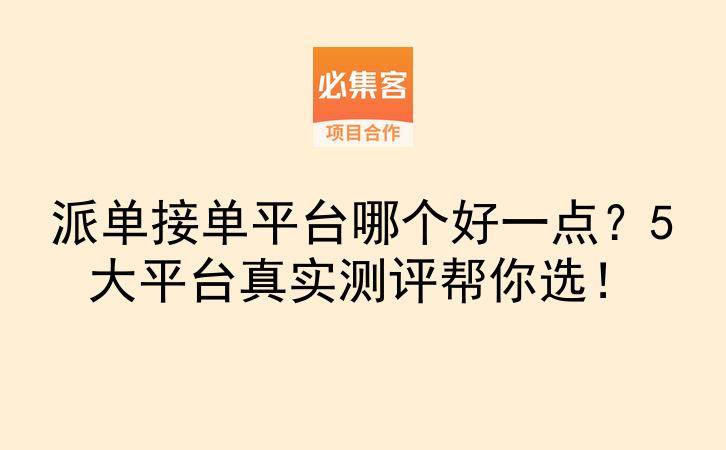 派单接单平台哪个好一点？5大平台真实测评帮你选！-云推网创项目库
