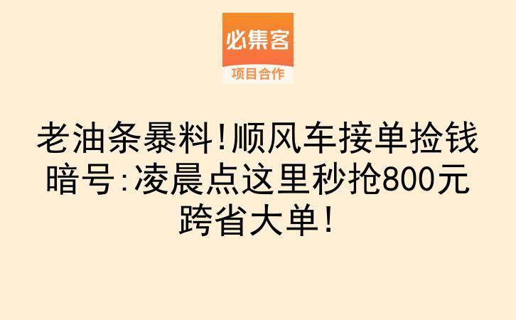 老油条暴料!顺风车接单捡钱暗号:凌晨点这里秒抢800元跨省大单!-云推网创项目库