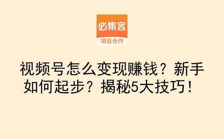 视频号怎么变现赚钱？新手如何起步？揭秘5大技巧！-云推网创项目库