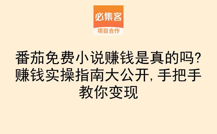 番茄免费小说赚钱是真的吗?赚钱实操指南大公开,手把手教你变现-云推网创项目库