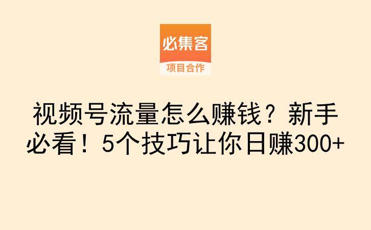 视频号流量怎么赚钱？新手必看！5个技巧让你日赚300+-云推网创项目库