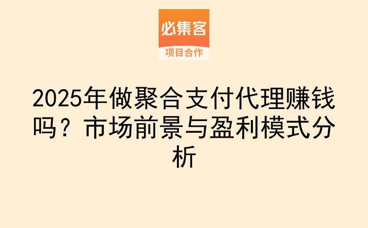 2025年做聚合支付代理赚钱吗？市场前景与盈利模式分析-云推网创项目库