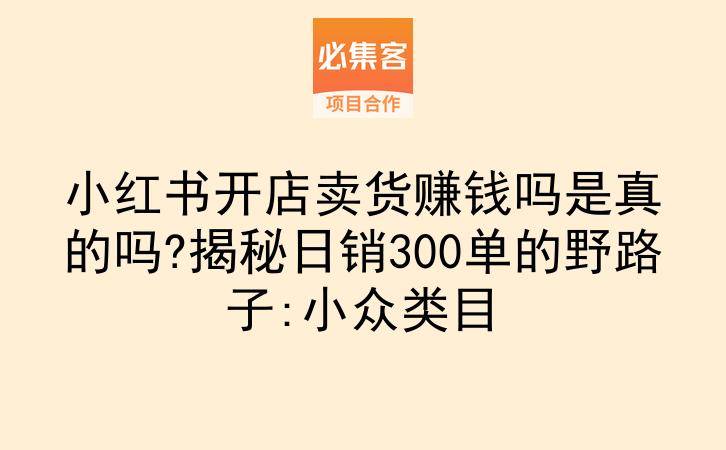 小红书开店卖货赚钱吗是真的吗?揭秘日销300单的野路子:小众类目-云推网创项目库