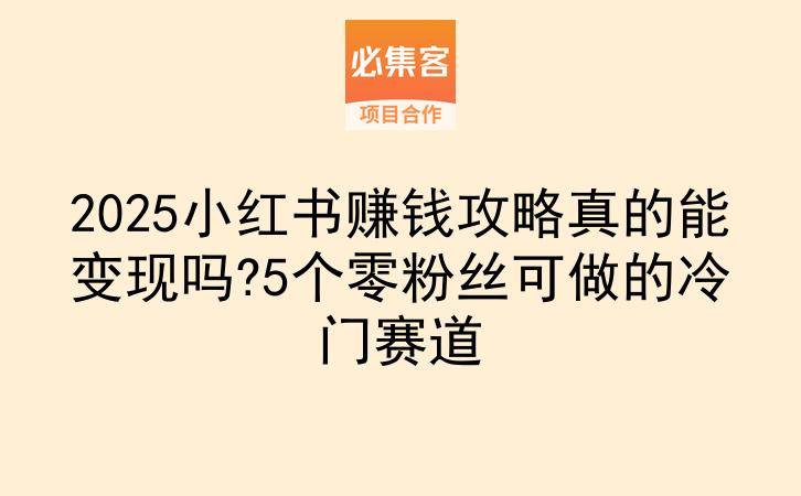 2025小红书赚钱攻略真的能变现吗?5个零粉丝可做的冷门赛道-云推网创项目库