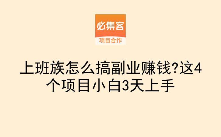 上班族怎么搞副业赚钱?这4个项目小白3天上手-云推网创项目库