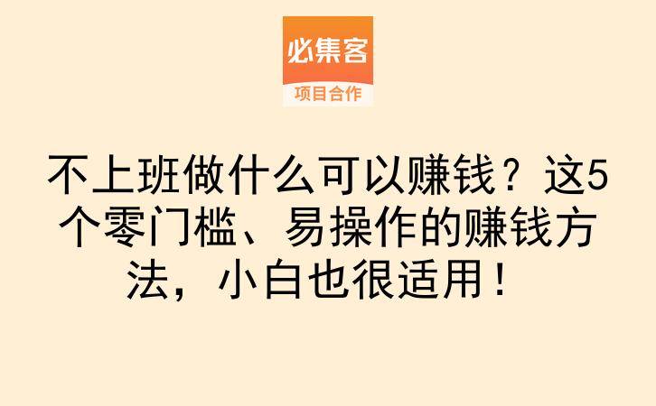 不上班做什么可以赚钱？这5个零门槛、易操作的赚钱方法，小白也很适用！-云推网创项目库