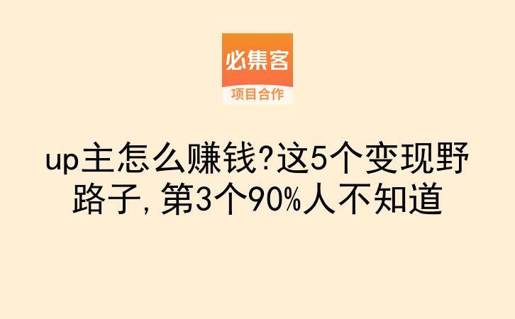 up主怎么赚钱?这5个变现野路子,第3个90%人不知道-云推网创项目库