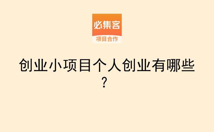 创业小项目个人创业有哪些？-云推网创项目库