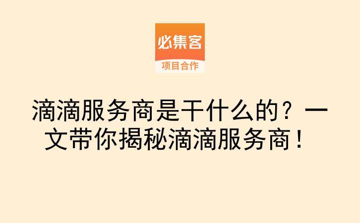滴滴服务商是干什么的？一文带你揭秘滴滴服务商！-云推网创项目库