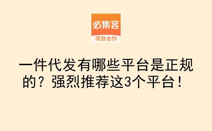 一件代发有哪些平台是正规的？强烈推荐这3个平台！-云推网创项目库