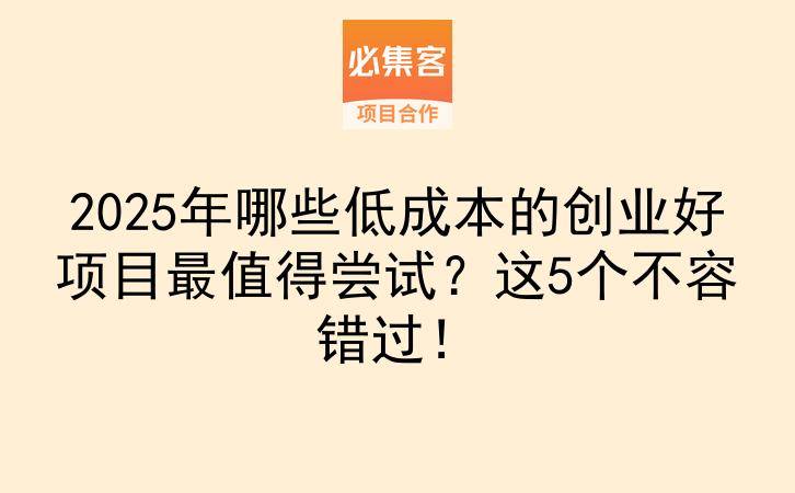2025年哪些低成本的创业好项目最值得尝试？这5个不容错过！-云推网创项目库