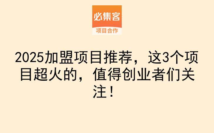 2025加盟项目推荐，这3个项目超火的，值得创业者们关注！-云推网创项目库