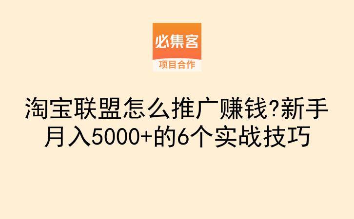 淘宝联盟怎么推广赚钱?新手月入5000+的6个实战技巧-云推网创项目库