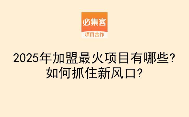 2025年加盟最火项目有哪些?如何抓住新风口?-云推网创项目库