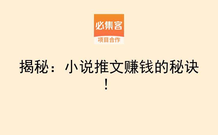 揭秘：小说推文赚钱的秘诀！-云推网创项目库