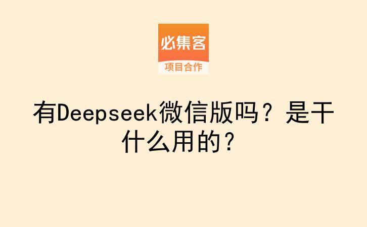 有Deepseek微信版吗？是干什么用的？-云推网创项目库