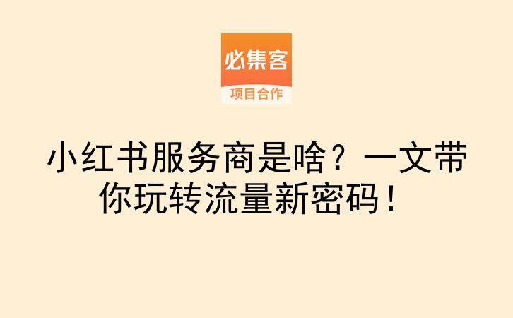 小红书服务商是啥？一文带你玩转流量新密码！-云推网创项目库