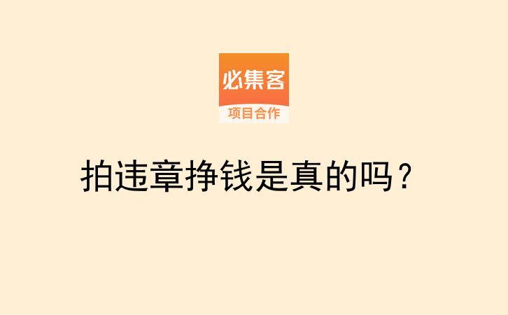 拍违章挣钱是真的吗？-云推网创项目库