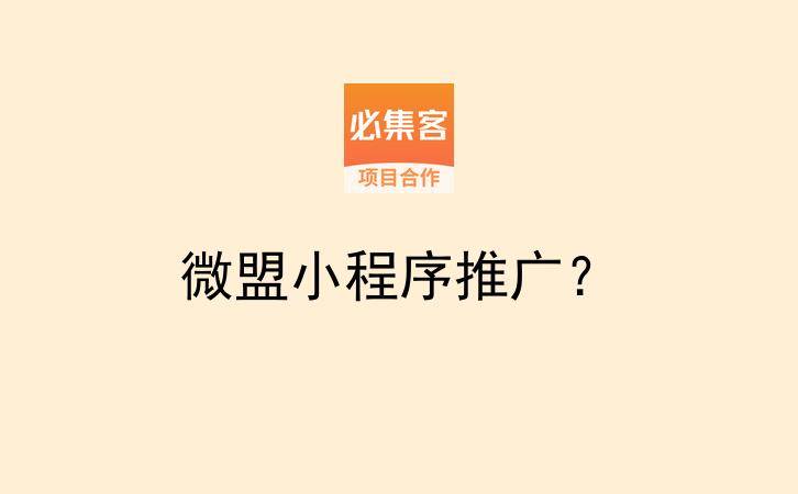微盟小程序推广？-云推网创项目库