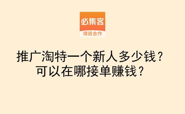 推广淘特一个新人多少钱？可以在哪接单赚钱？-云推网创项目库