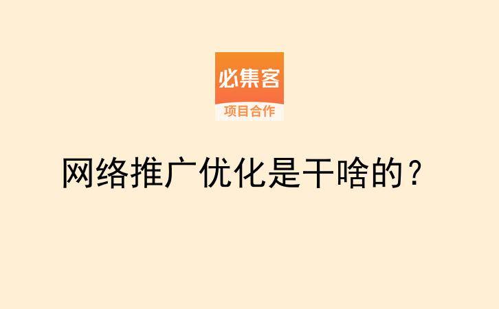 网络推广优化是干啥的？-云推网创项目库