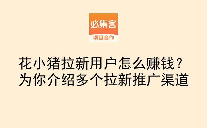 花小猪拉新用户怎么赚钱？为你介绍多个拉新推广渠道-云推网创项目库