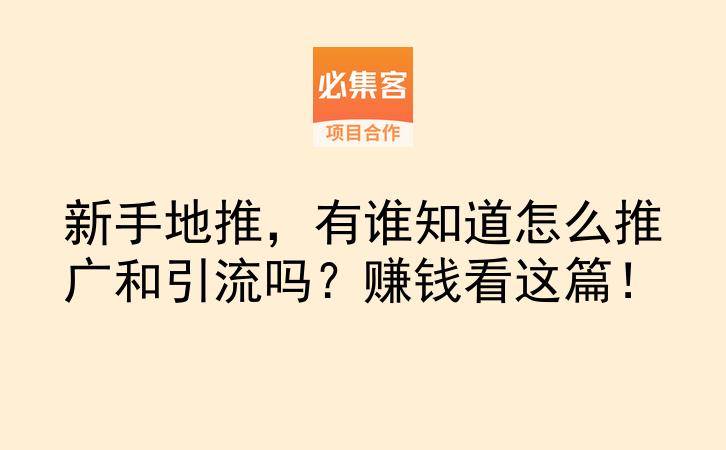 新手地推,有谁知道怎么推广和引流吗?赚钱看这篇!-云推网创项目库