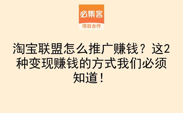 淘宝联盟怎么推广赚钱?这2种变现赚钱的方式我们必须知道!-云推网创项目库