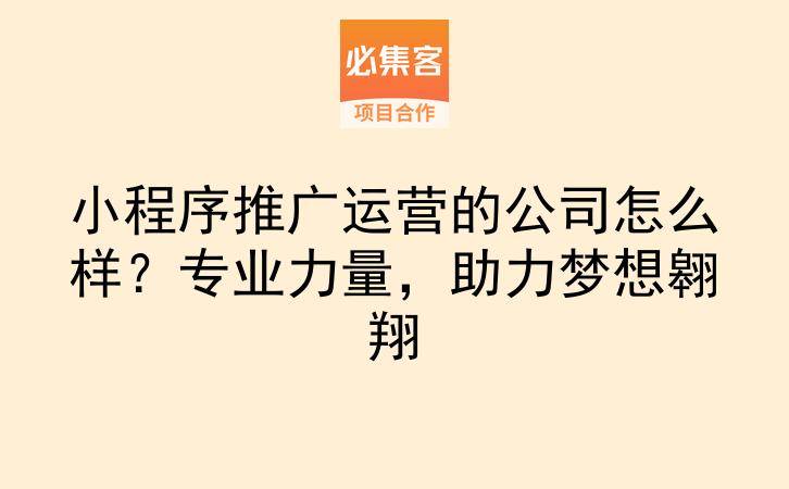 小程序推广运营的公司怎么样?专业力量,助力梦想翱翔-云推网创项目库