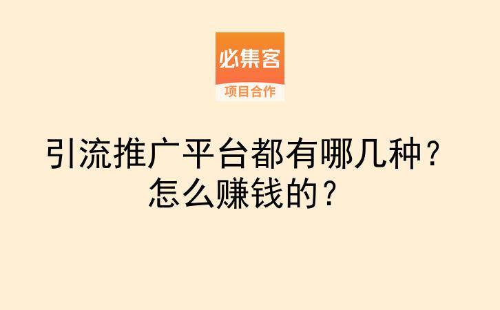 引流推广平台都有哪几种?怎么赚钱的?-云推网创项目库