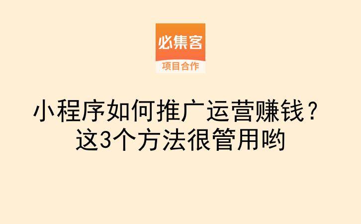 小程序如何推广运营赚钱?这3个方法很管用哟-云推网创项目库