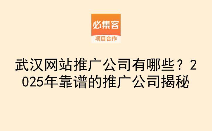 武汉网站推广公司有哪些?2025年靠谱的推广公司揭秘-云推网创项目库