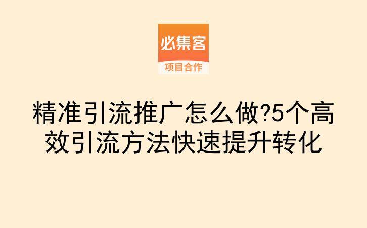 精准引流推广怎么做?5个高效引流方法快速提升转化-云推网创项目库