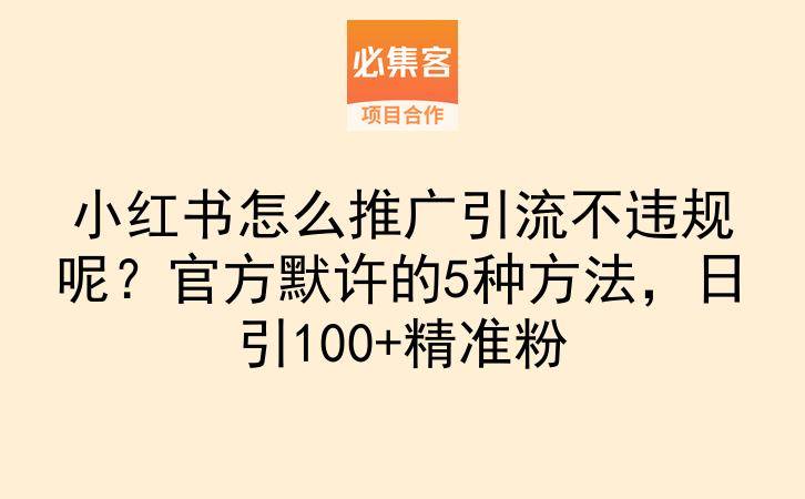 小红书怎么推广引流不违规呢?官方默许的5种方法,日引100+精准粉-云推网创项目库