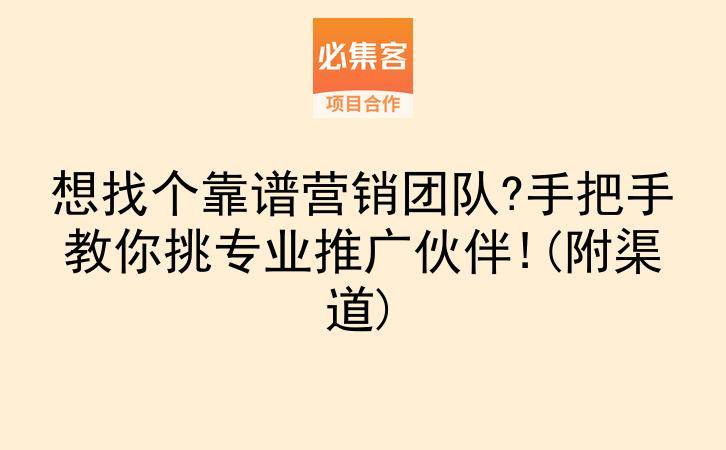 想找个靠谱营销团队?手把手教你挑专业推广伙伴!(附渠道)-云推网创项目库
