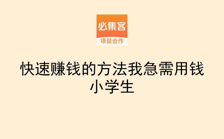 快速赚钱的方法我急需用钱小学生-云推网创项目库