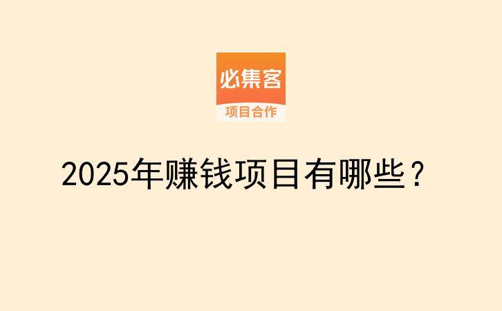 2025年赚钱项目有哪些?-云推网创项目库
