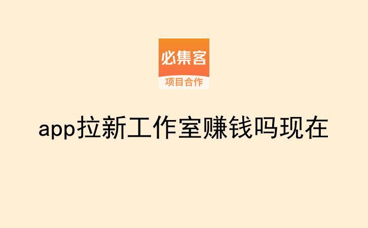 app拉新工作室赚钱吗现在-云推网创项目库